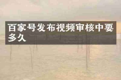 百家号发布视频审核中要多久