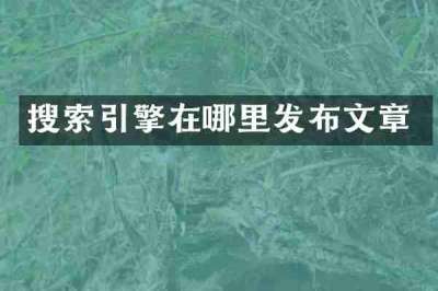 搜索引擎在哪里发布文章