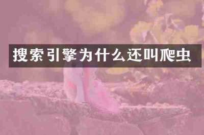 搜索引擎为什么还叫爬虫