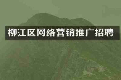 柳江区网络营销推广招聘