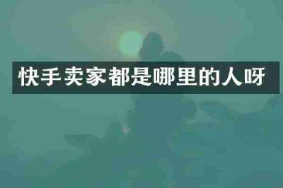 快手卖家都是哪里的人呀