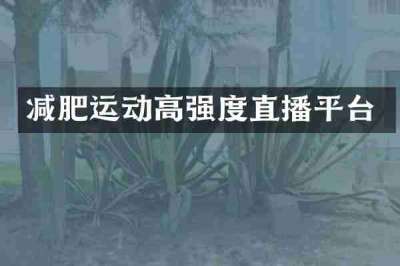 减肥运动高强度直播平台