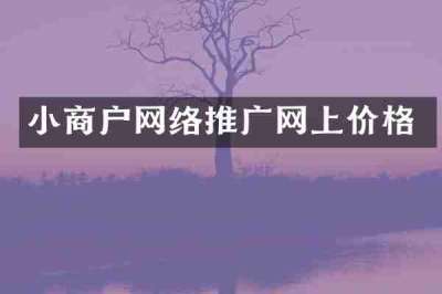 小商户网络推广网上价格