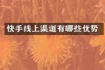 快手线上渠道有哪些优势