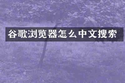 谷歌浏览器怎么中文搜索