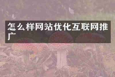 怎么样网站优化互联网推广