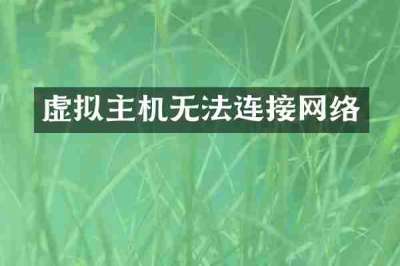 虚拟主机无法连接网络