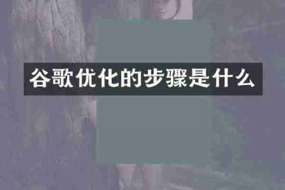 谷歌优化的步骤是什么