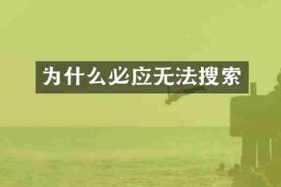 为什么必应无法搜索