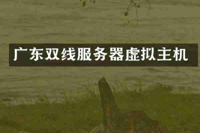 广东双线服务器虚拟主机