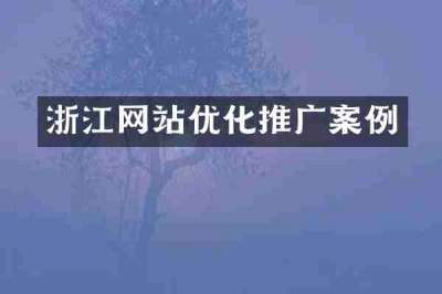 浙江网站优化推广案例