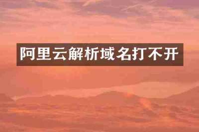 阿里云解析域名打不开
