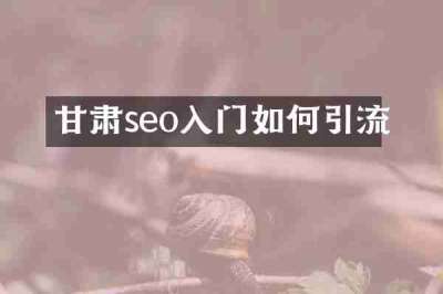 甘肃seo入门如何引流