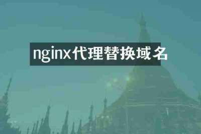 nginx代理替换域名