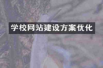 学校网站建设方案优化