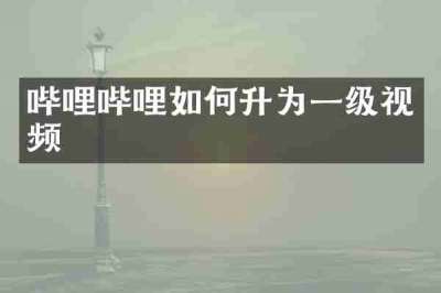 哔哩哔哩如何升为一级视频