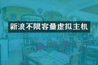 新浪不限容量虚拟主机