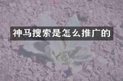 神马搜索是怎么推广的
