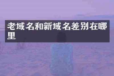 老域名和新域名差别在哪里