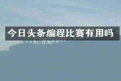今日头条编程比赛有用吗