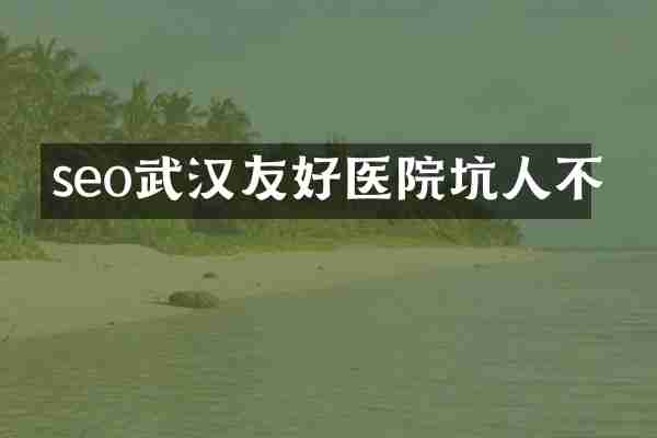 seo武汉友好医院坑人不