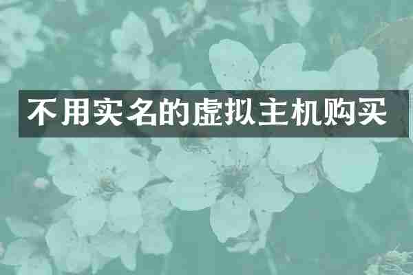 不用实名的虚拟主机购买