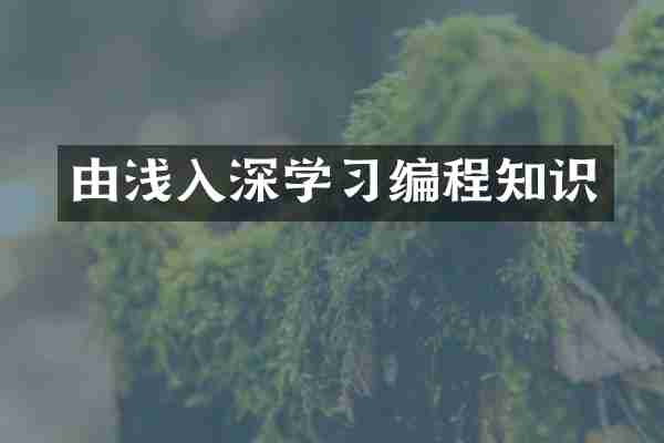 由浅入深学习编程知识