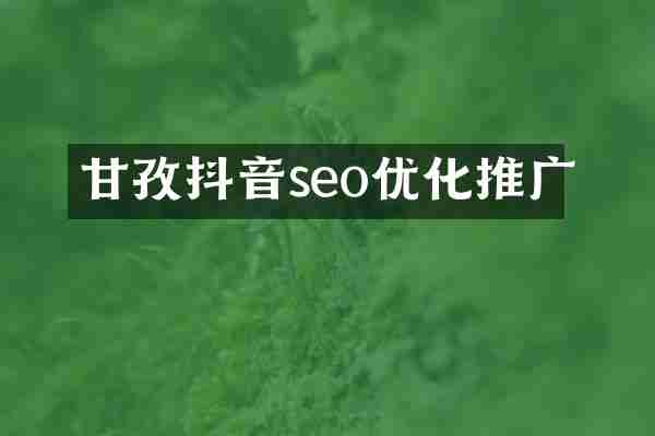甘孜抖音seo优化推广