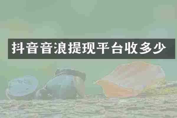 抖音音浪提现平台收多少