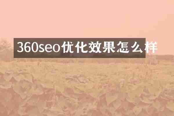 360seo优化效果怎么样