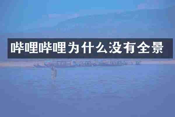 哔哩哔哩为什么没有全景