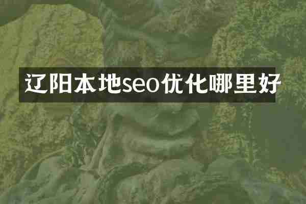 辽阳本地seo优化哪里好