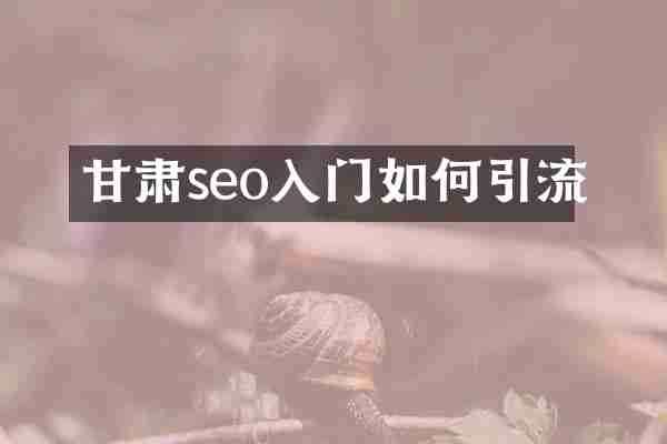 甘肃seo入门如何引流
