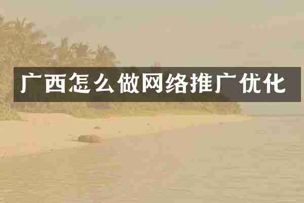广西怎么做网络推广优化