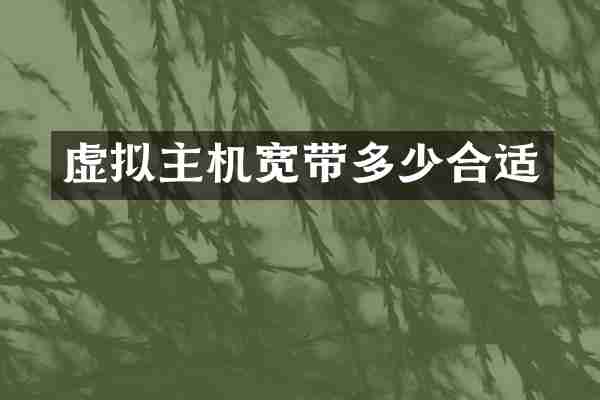 虚拟主机宽带多少合适