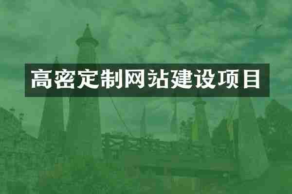 高密定制网站建设项目