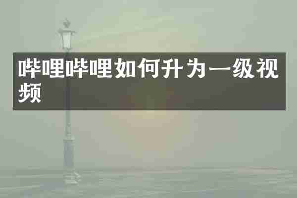 哔哩哔哩如何升为一级视频