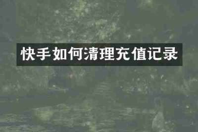 快手如何清理充值记录