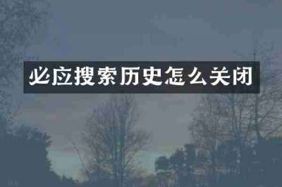 必应搜索历史怎么关闭