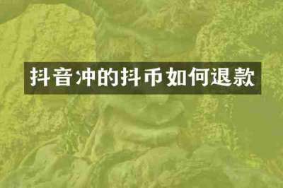 抖音冲的抖币如何退款