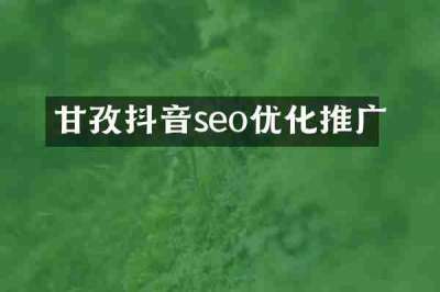 甘孜抖音seo优化推广