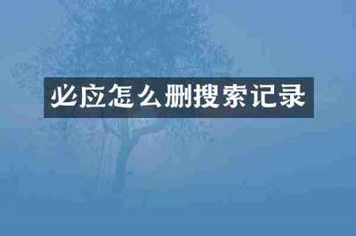 必应怎么删搜索记录