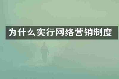 为什么实行网络营销制度