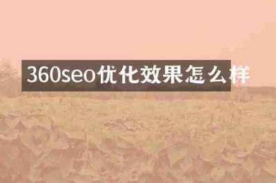 360seo优化效果怎么样