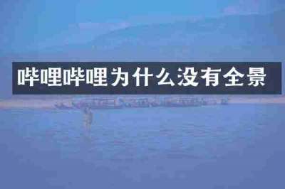 哔哩哔哩为什么没有全景