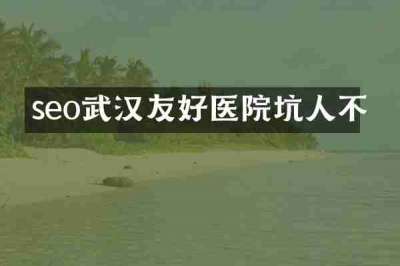 seo武汉友好医院坑人不