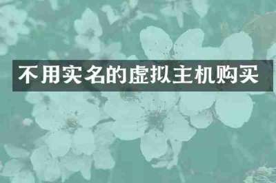 不用实名的虚拟主机购买