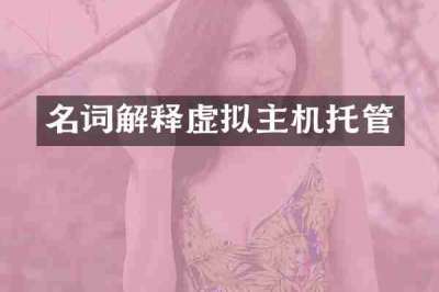 名词解释虚拟主机托管