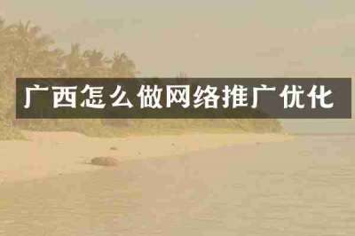 广西怎么做网络推广优化