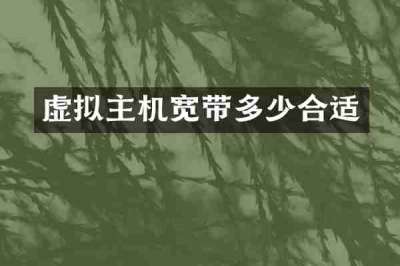 虚拟主机宽带多少合适
